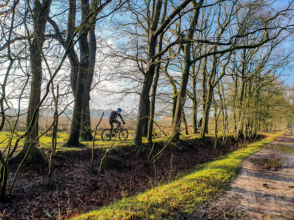 MTB Appelscha - Tussen de bomen door