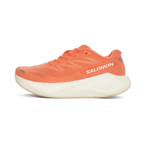 Salomon Aero Blaze 3 Dames