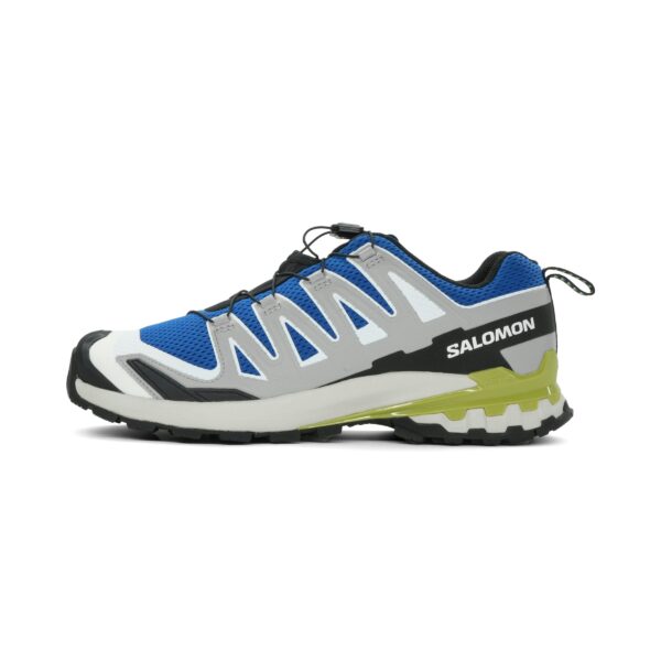 Salomon XA Pro 3D V9 Heren