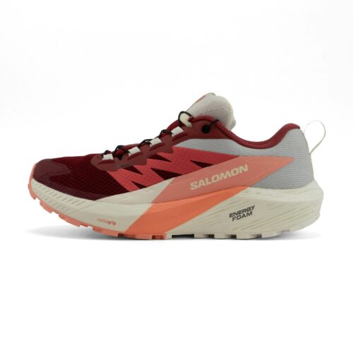 62eaba29af1ae500a72c5d7196f028ef24e7bfb5_Salomon_L47314500_Sense_Ride_5_GTX_0 Salomon Sense Ride 5 GTX Dames