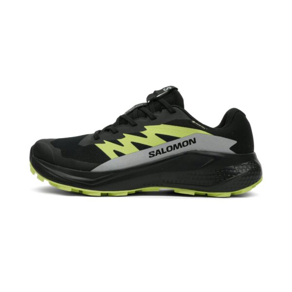 Salomon Alphaglide GTX Heren