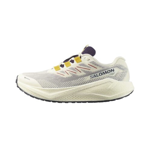 Salomon Aero Blaze 3 GRVL GTX Heren