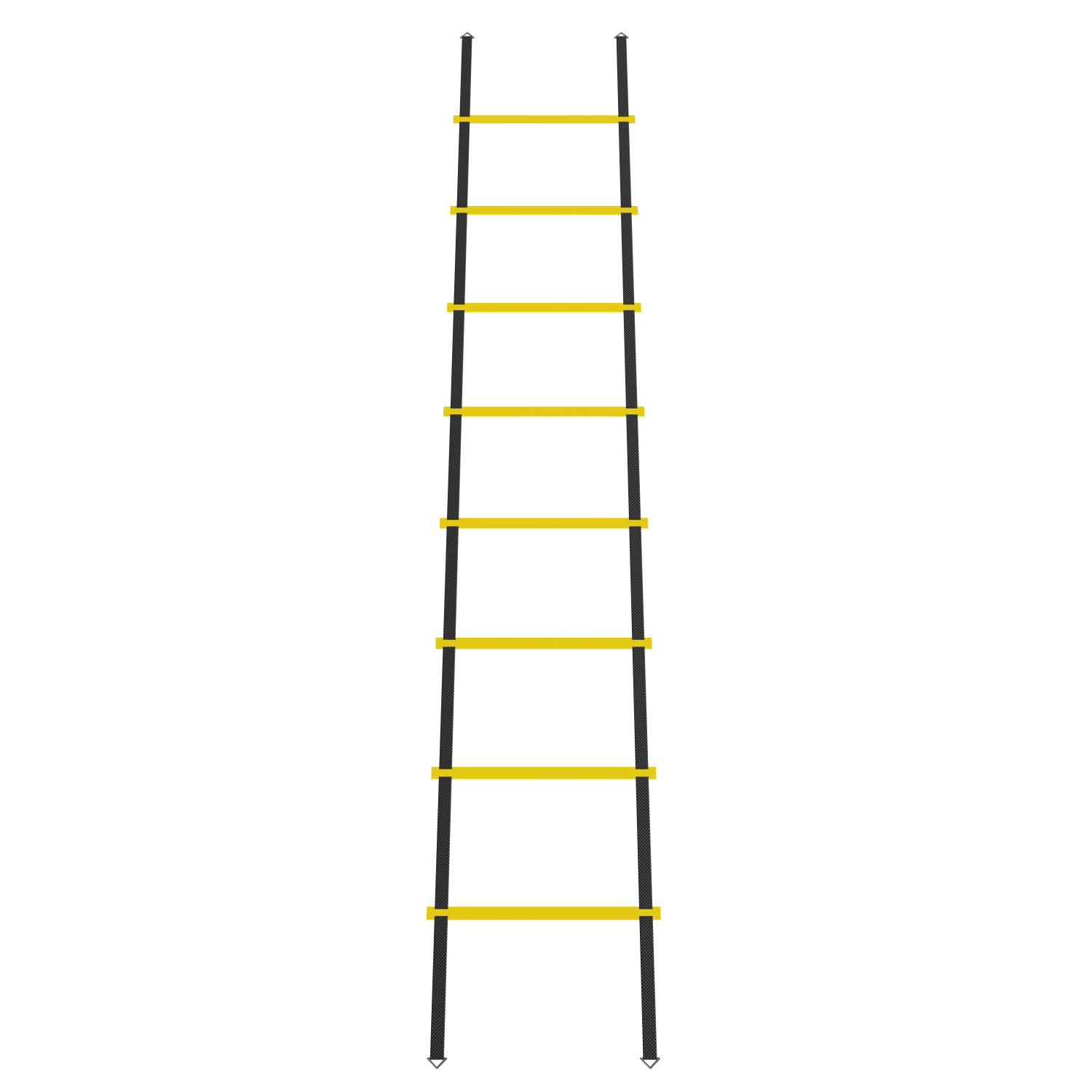 Focus Fitness - Agility Ladder