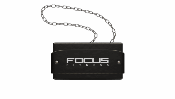 dipping_belt_1_ Dipping Belt - Focus Fitness