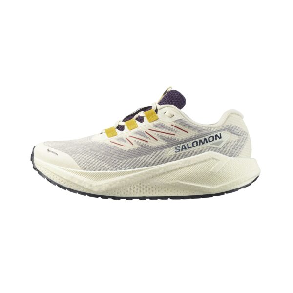 Salomon Aero Blaze 3 GRVL GTX Dames