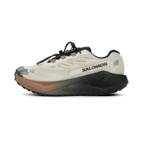 Salomon Aero Blaze 4 GRVL GTX Dames
