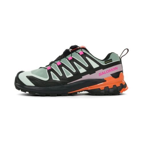 23086766fc2f5c6f278a6ee10fd412c57b4053c4_L45486700_0 Salomon XA Pro 3D V9 GTX Icon Dames