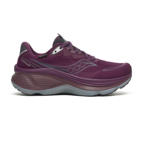 Saucony Hurricane 26 GTX Dames