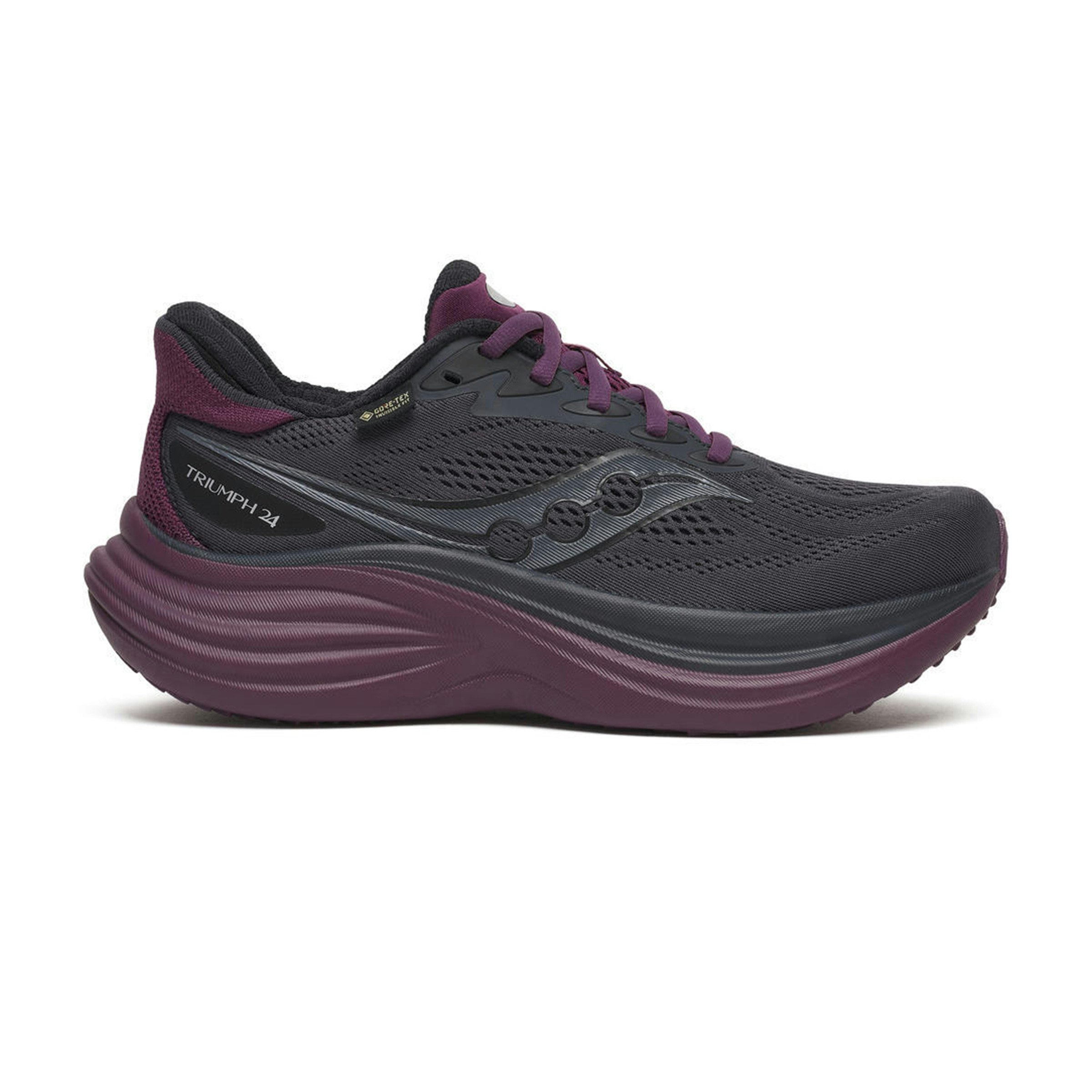 Saucony Triumph 24 GTX Dames